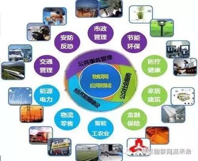 物聯(lián)網(wǎng) 國家戰(zhàn)略驅(qū)動(dòng)下的技術(shù)革命與產(chǎn)業(yè)未來