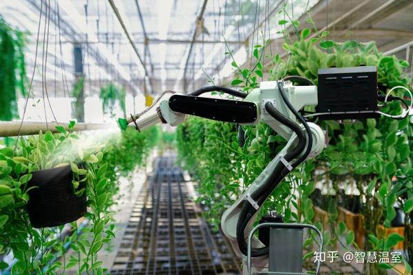 物聯(lián)網(wǎng)技術研發(fā) 智能溫室與植物工廠高效運營的核心驅(qū)動力